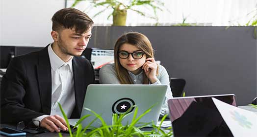 Custom MLM Software Solutions