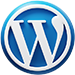 Custom WordPress Website Development - Metatag Solution